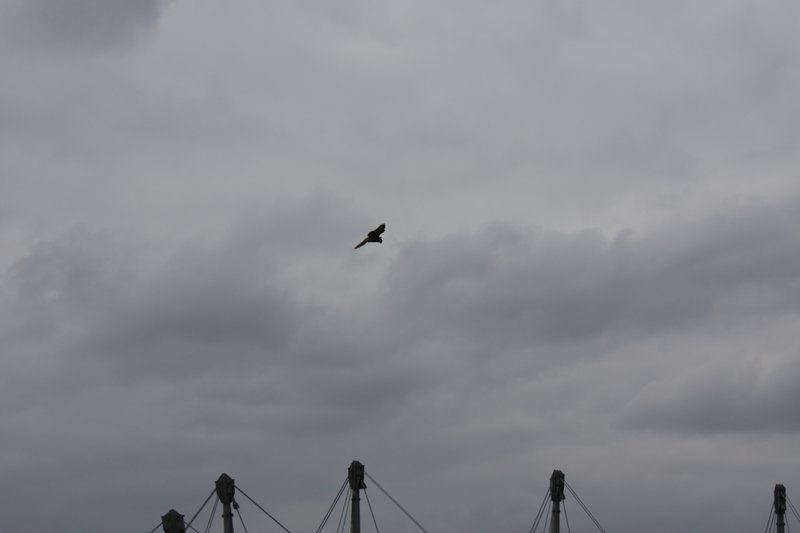 IMG_1407